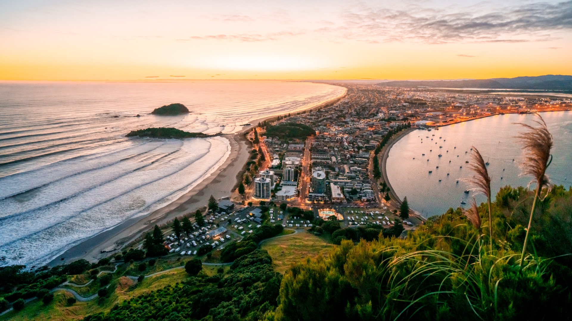 Tauranga Harbour